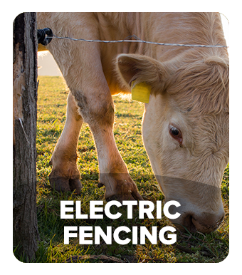 Electric Fencing – Ivisons
