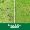 Grasscias Castaway Non Pesticidal Liquid Worm Casting Treatment & Lawn Greener